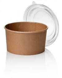 Paper Bowl